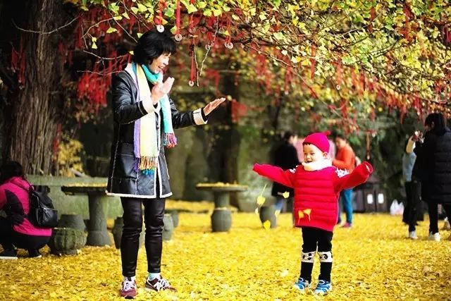 2018年浙江地方景点旅游日历大合集!含杭州,建德,温州,金华!