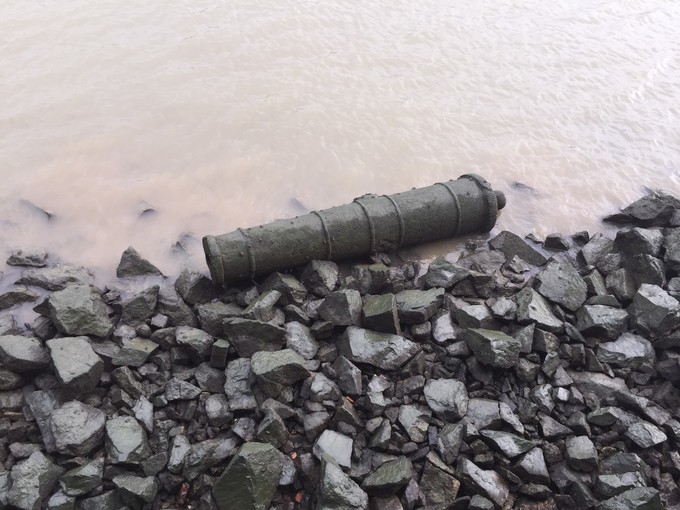 江门小鸟的天堂旅游攻略,江门小鸟天堂附近免费游玩的地方