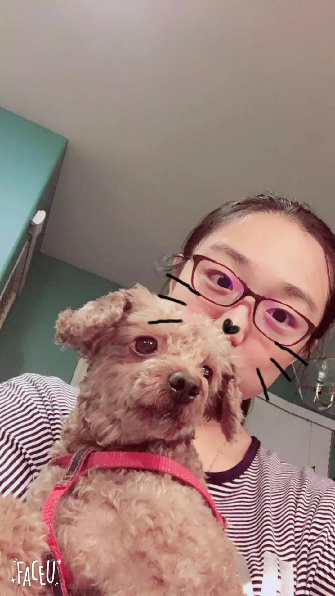 郑州耿直大妞美国开店,包下机舱,签了48个世界知名母婴品牌代理