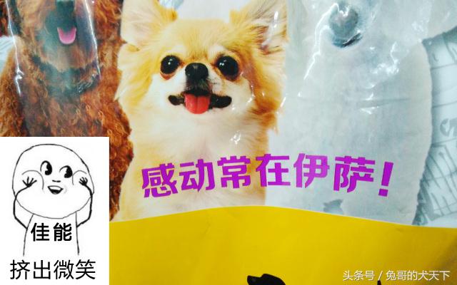 河北宠粮怎么样,河北宠粮