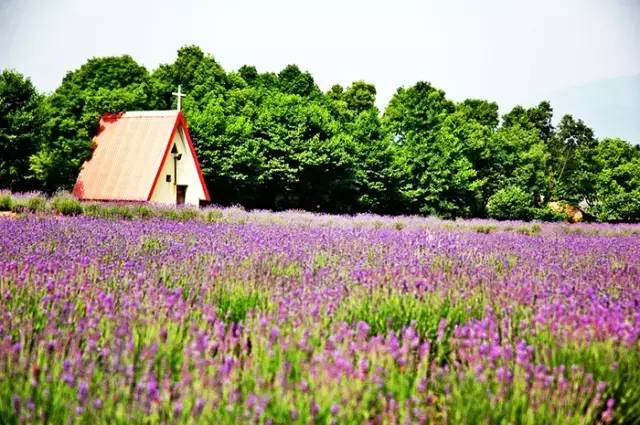 2018年浙江地方景点旅游日历大合集!含杭州,建德,温州,金华!