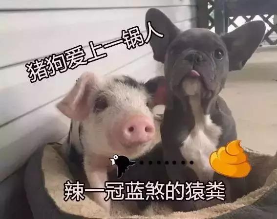 古天乐陈伟霆,陈伟霆古天乐视频