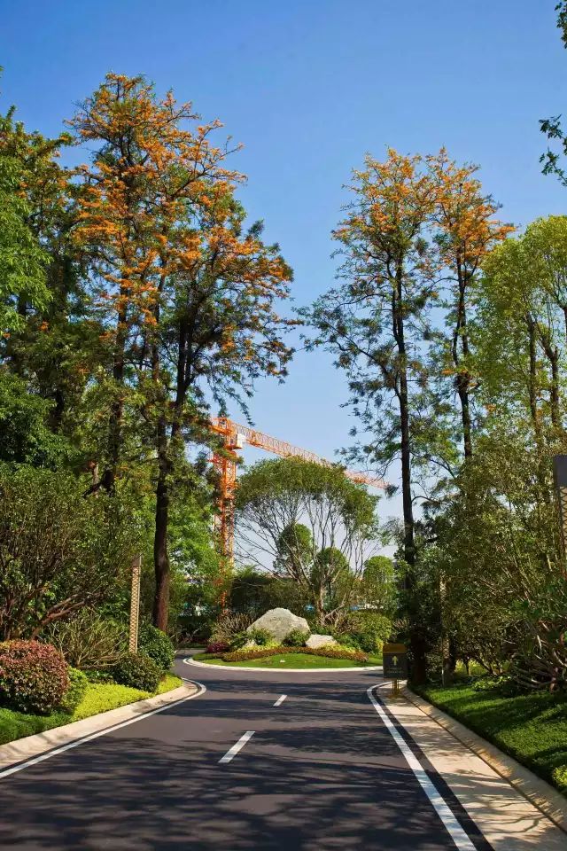 广东惠州公认最好的楼盘,广州最新最美风景楼盘图片