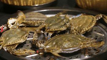 冬季不可错过的4种营养海鲜,这8种海鲜冬天吃更美味