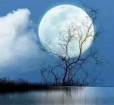 古诗词心有千千结,诗句心有千千结