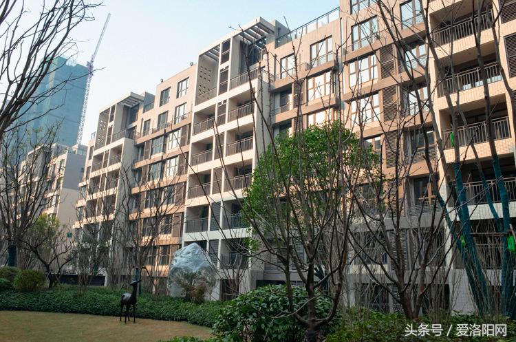 洛阳正商城附近楼盘,洛阳正商城是经济房还是商品房