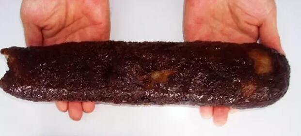 海参有上千种都是一样的吗,全世界海参有多少品种