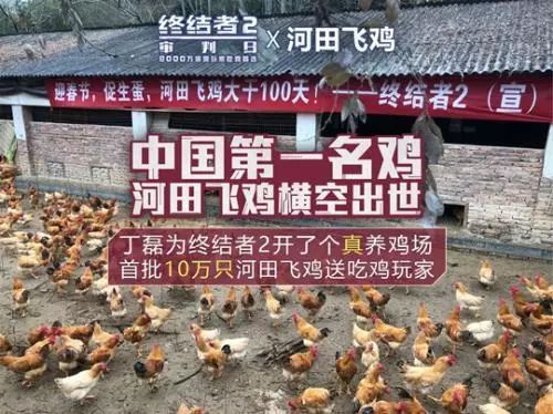 我为“吃鸡”狂，网易真的开了养鸡场……
