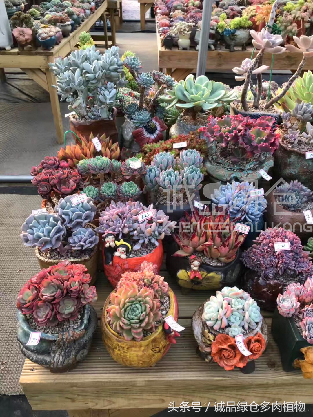 满足你对的所有幻想,满足你对生活所有的想象