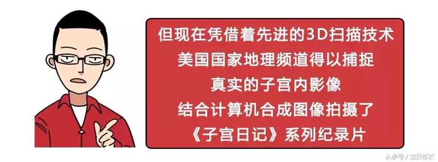 卵子和精子相遇……怎么就变成小孩了？