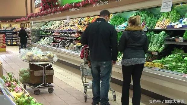 紧急！E.coli0157:H7杀到，最近美国，加拿大的生菜都别吃了！