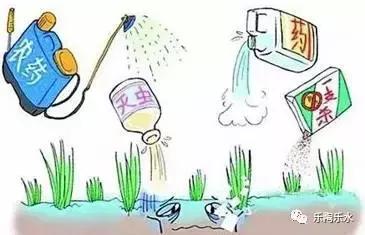 只有绿叶菜容易农药残留？你太天真了！