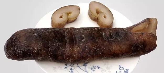 海参也有很多种,全世界所有可以吃的海参