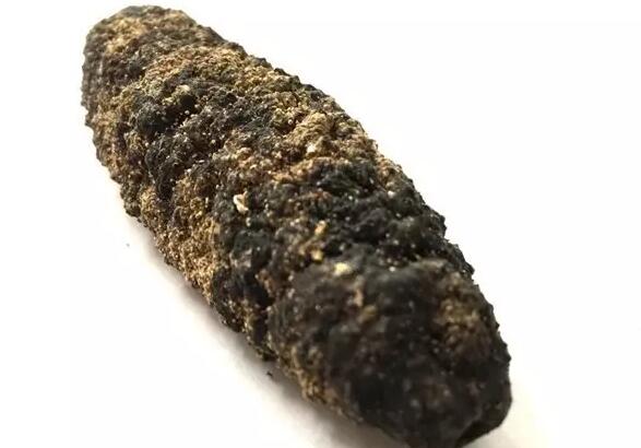 你知道世界上的鱼类有多少个,你知道的海底世界有多少种鱼