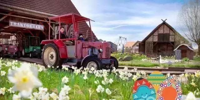 迪士尼农业采摘园,德国的草莓主题乐园