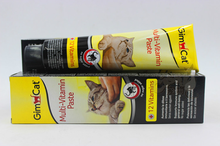 喵咪怀孕了咋一直叫,主子怀孕猫咪的反应