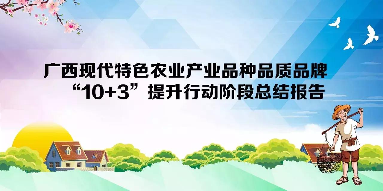 广西粮食产业,广西粮食产业发展