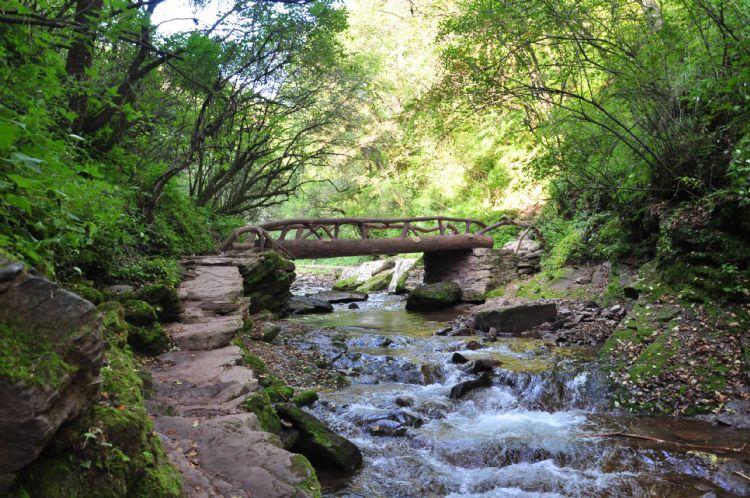 宁夏半价旅游团,宁夏5月1日免门票景区