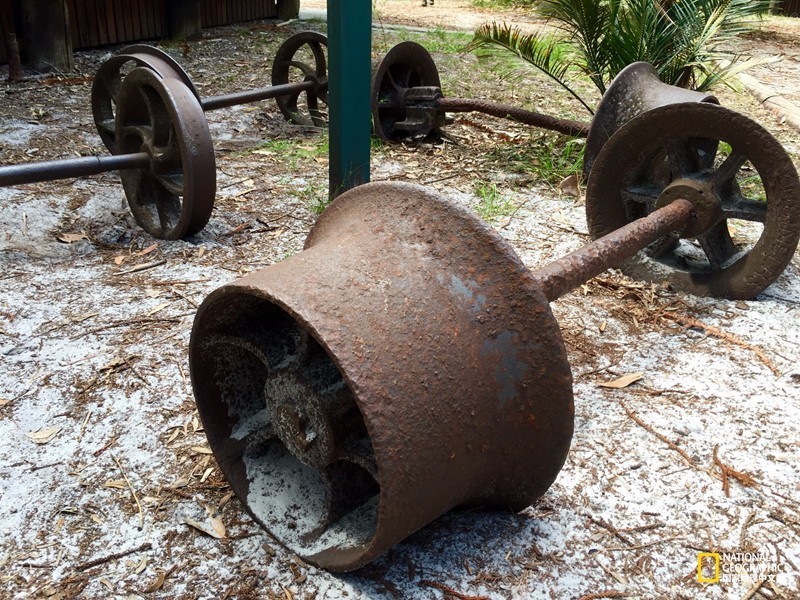FraserIsland|快来全世界最大的沙岛上撒把野