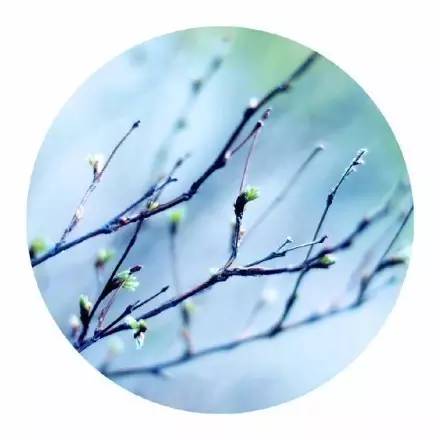 把你的心走过的路，说出来，就是诗啊