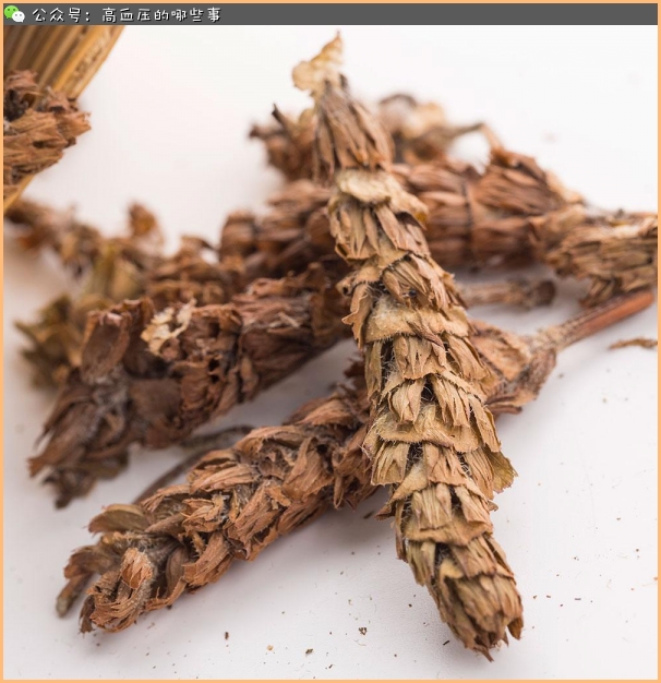 夏枯草和菊花一起泡水喝血压升高,夏枯草和菊花能治高血压吗