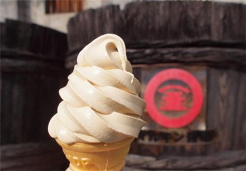 中山六大旅游项目,广东中山市工业旅游线路