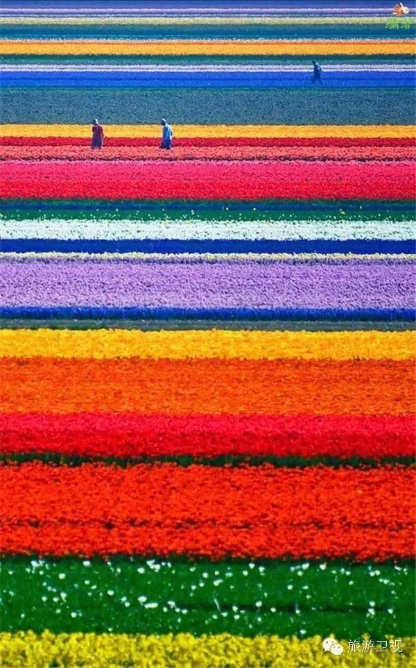 已经开放旅游签证申请的国家,现在开放旅游签证的国家