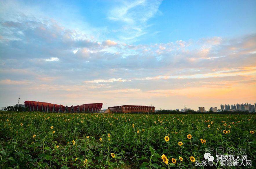 安徽铜陵市城市排名,中国综合实力城市排名铜陵