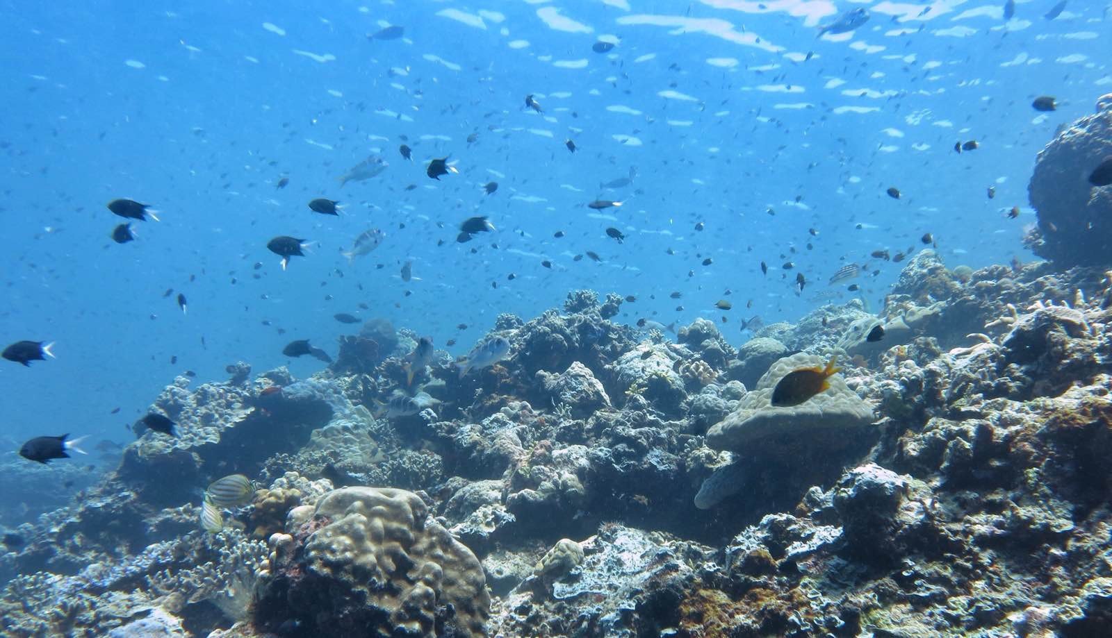 必须要去三亚的理由,去沙巴的十个理由