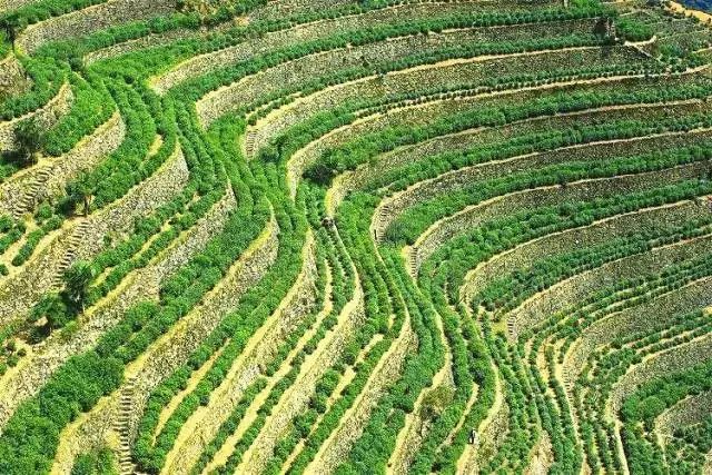 宏村和歙县古城哪个更好,歙县古城和宏村哪个更值得去