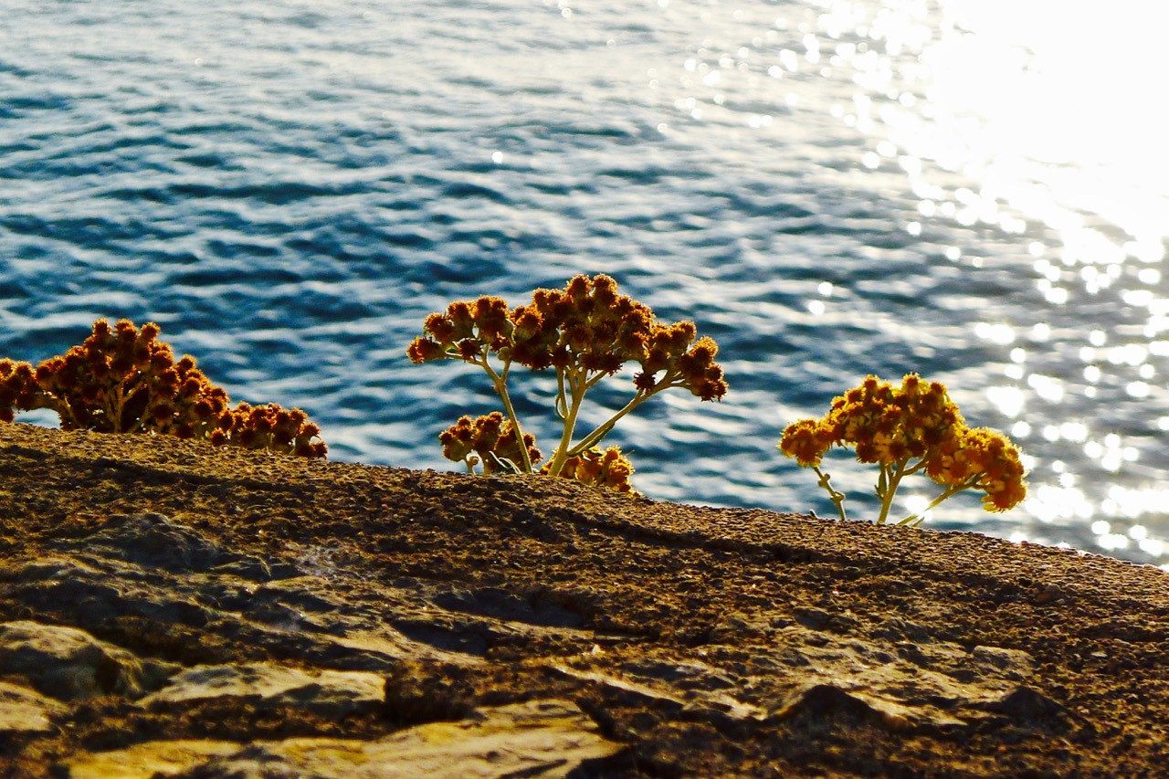 权利游戏在摩洛哥的取景地,权力的游戏摄影取景地