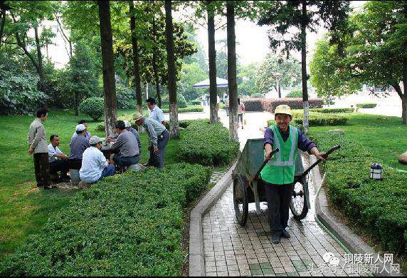 安徽铜陵市城市排名,中国综合实力城市排名铜陵
