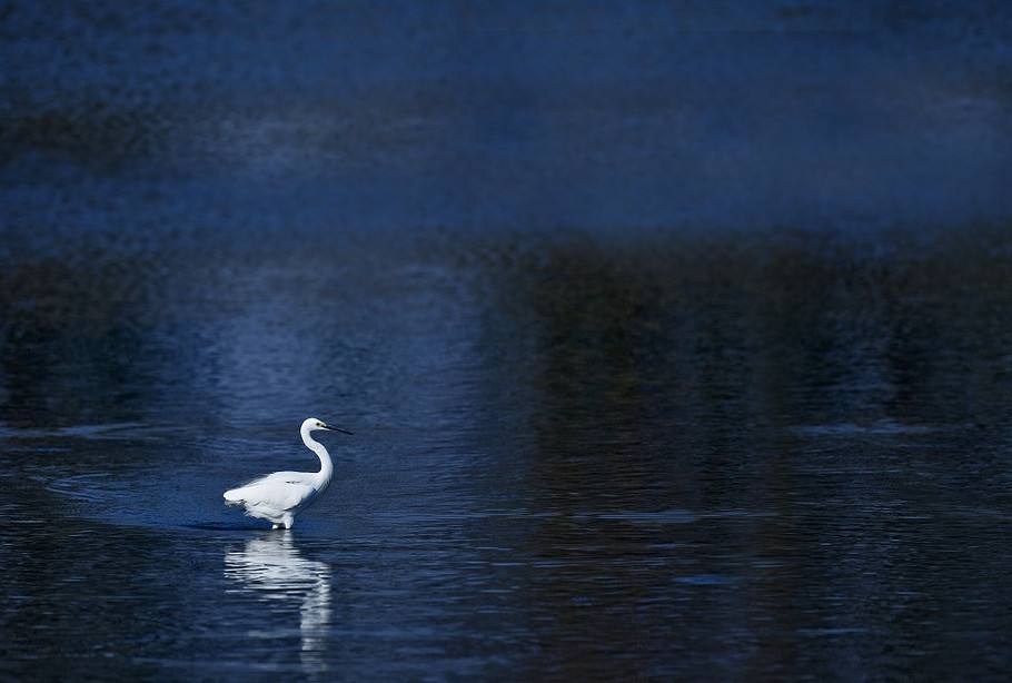 尼采名言每一个不曾起舞的清晨,尼采的名言每一个不曾起舞的日子