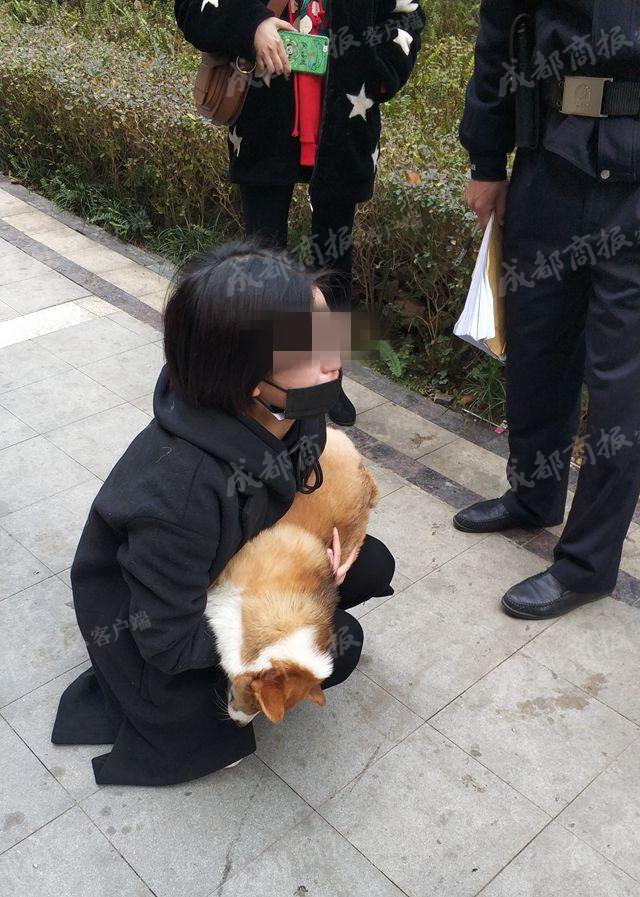 有一种坏叫胎里坏，头上长疮脚底流脓，从头坏到底了