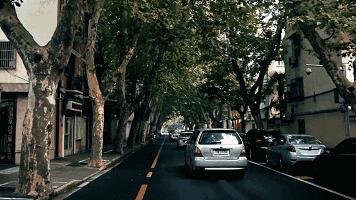 对上海这座城市的感悟,上海谢谢