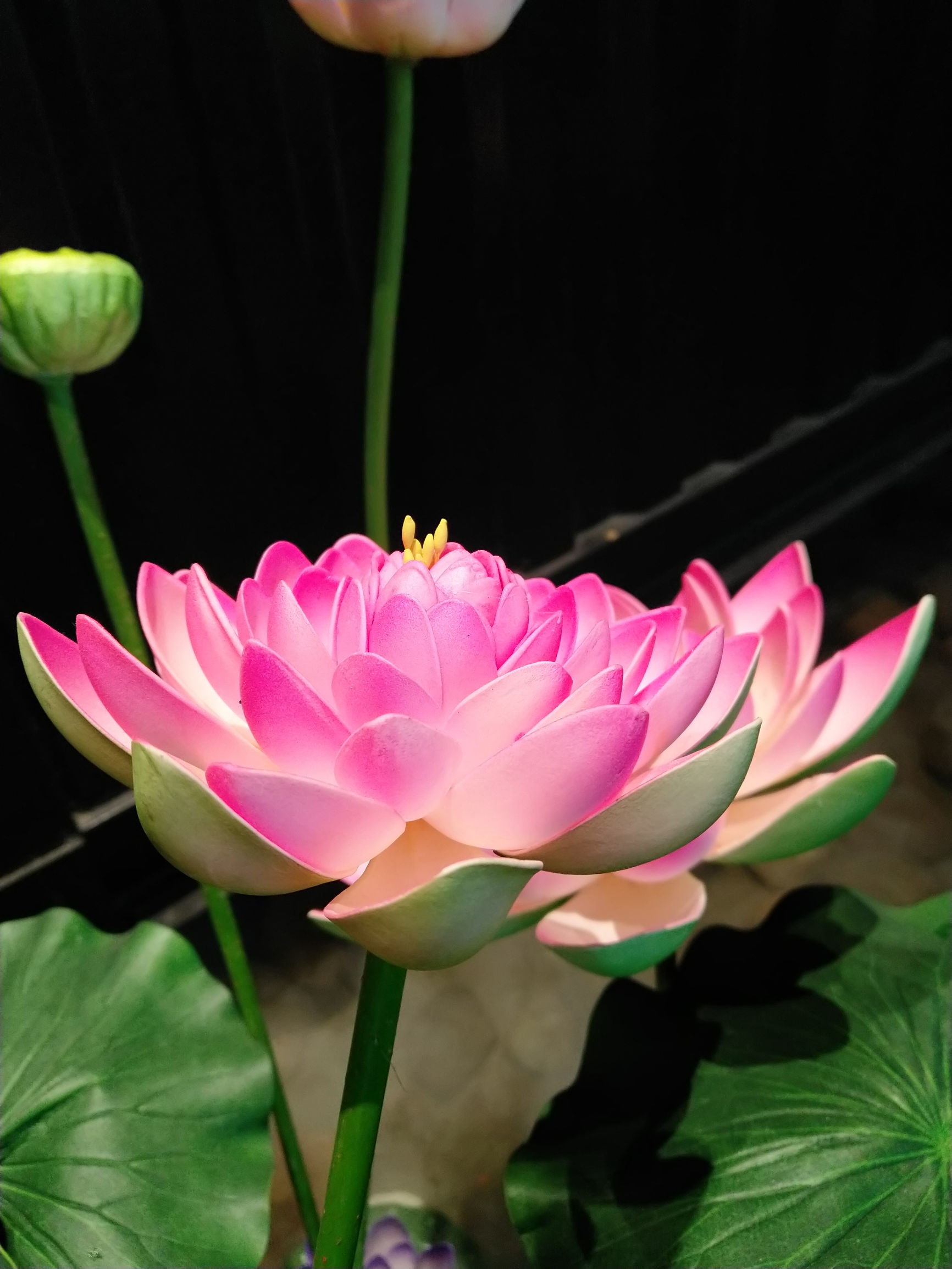 坚果pro2s为什么不建议买,坚果pro2处理器