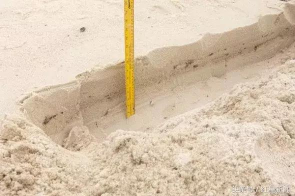 桑吉号沉没视频,桑吉号沉船事故