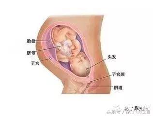 天使降临的孕10月-憧憬一下第一次见面的场景吧