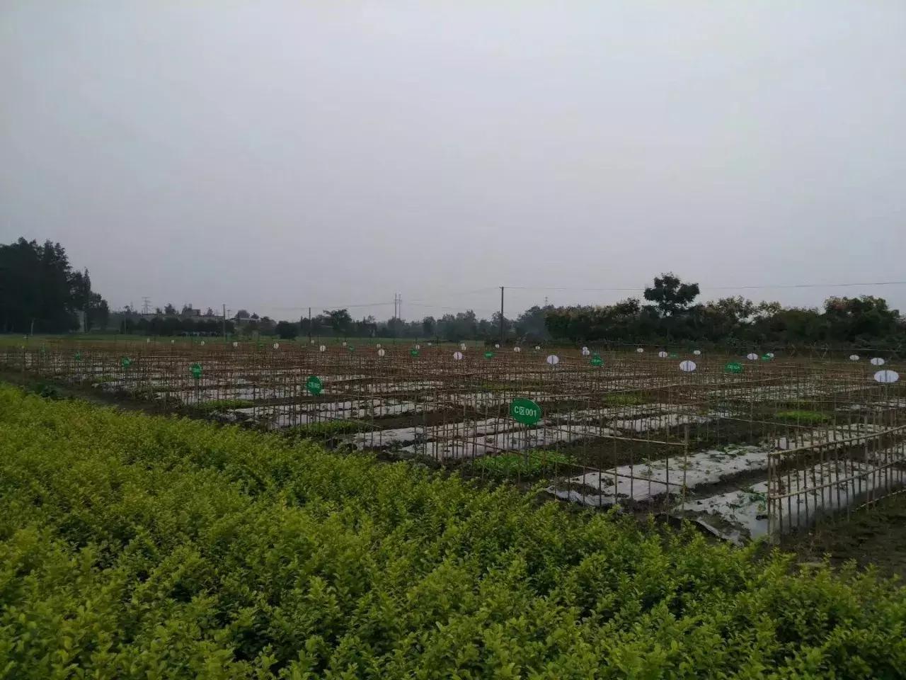 地还是那些地,人还是原来那些人,开心田园帮助农民致富大转变!