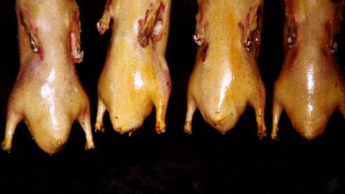 一年卖200w只老北京烤鸭店,烤鸭39年老店