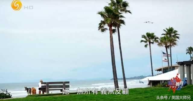 移民真的是普通人的出路吗,孤身一人国外打拼