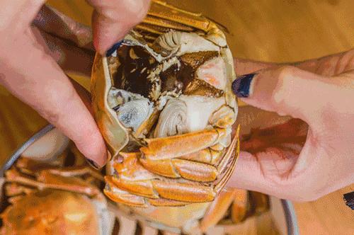 这家蒸汽海鲜真的很不错,蒸汽海鲜哪家最正宗