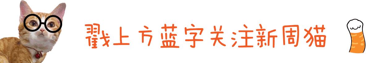 网上买的猫靠不靠谱,买猫最好到宠物店买还是到网上买