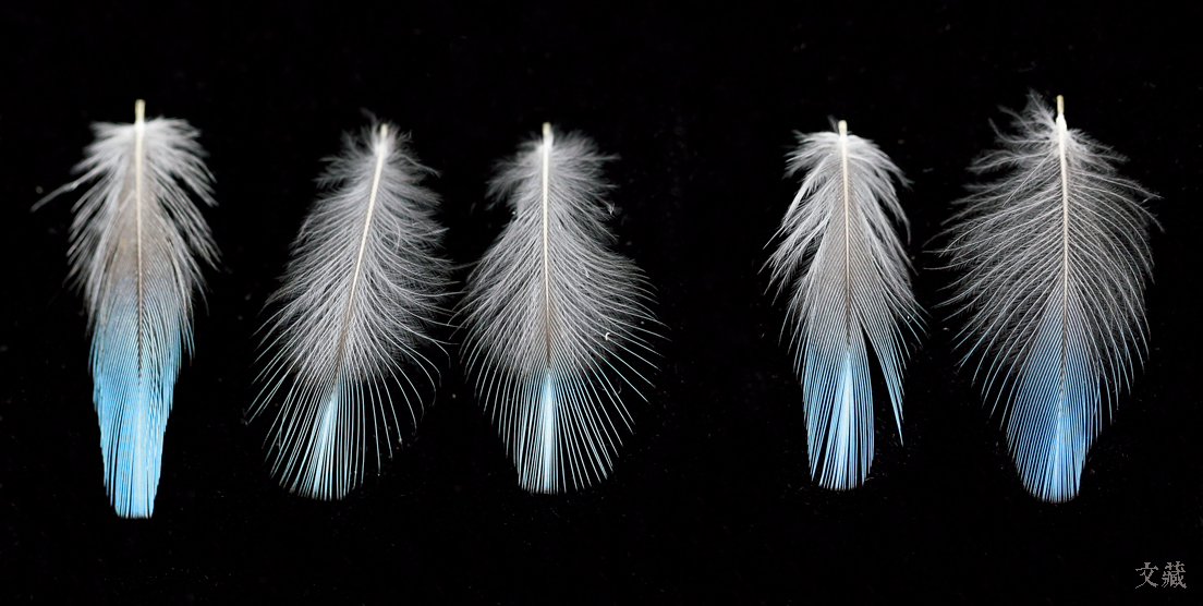 清代宫廷点翠首饰,清代宫廷点翠