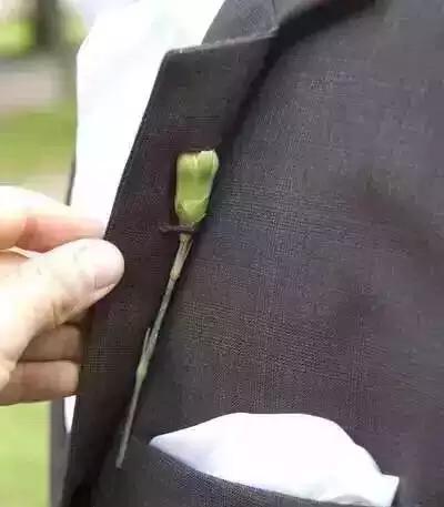 为啥你穿西装像房地产中介,房产中介西装