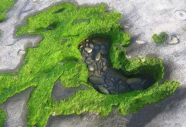 春节自驾山西旅游4-5天详细攻略,2019春节上海出发自驾旅游去哪里