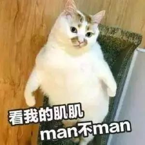 猫在交配时的快感，和人有什么不同？