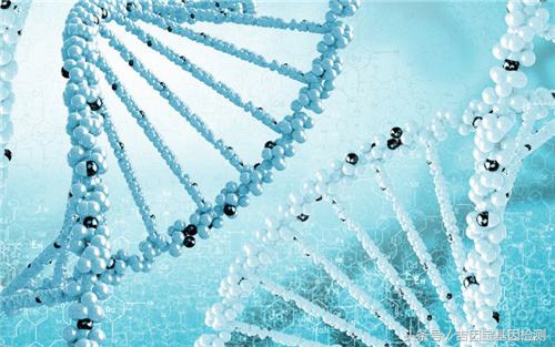 我不是药神中的药品检测师,和基因检测有关的电影