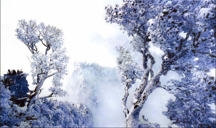 郑州周边好玩的地方推荐冬季,郑州周末去哪里玩不带孩子