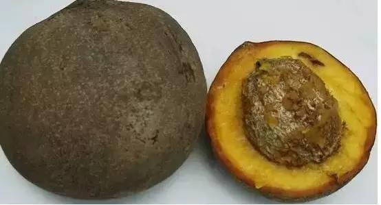 最奇葩的六种水果,你没吃过的十种奇葩水果